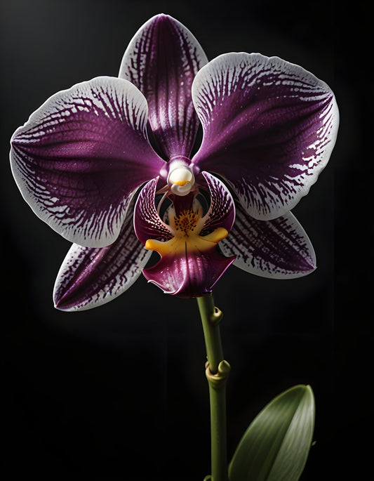 Botanical Study Wall Art Print – Vintage Botanical Illustration