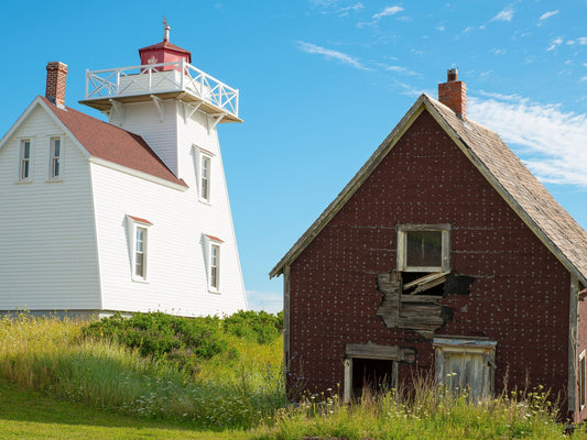 Silent Watchers by the Shore - Byeutifull Art