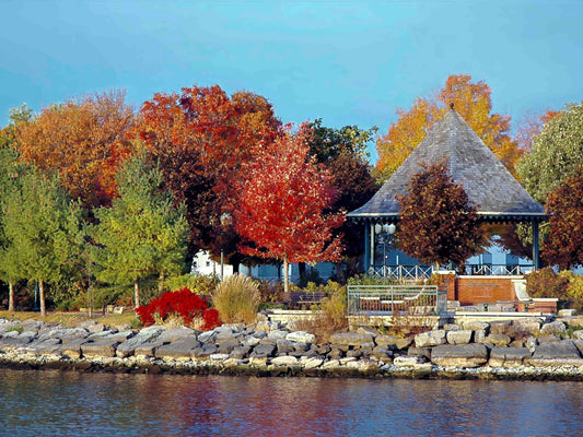 Autumn Brilliance at St. Lawrence Park - Byeutifull Art