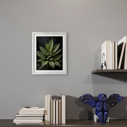 Digital Art - Botanical Studies - 1 - Byeutifull Art