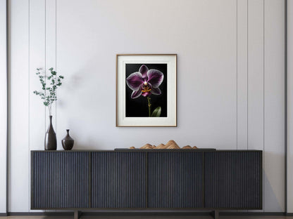 Digital Art - Botanical Studies - 2 - Byeutifull Art