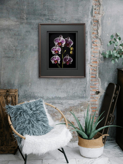 Digital Art - Botanical Studies 4 - Byeutifull Art