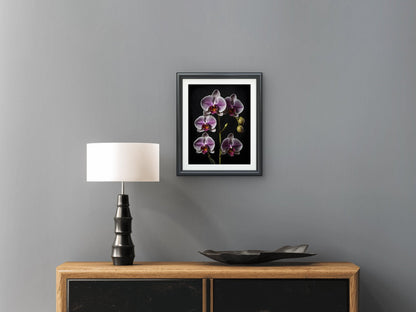 Digital Art - Botanical Studies 4 - Byeutifull Art