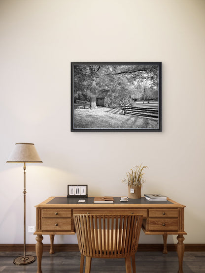 Forest Light Photography – Woodland Scene – Black & White Art Print - Byeutifull Art