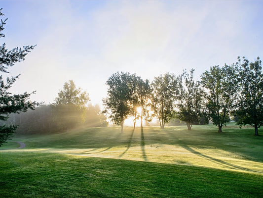 Morning Dew Fairway - Byeutifull Art