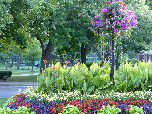 Riverside Garden Along the St. Lawrence River - Byeutifull Art