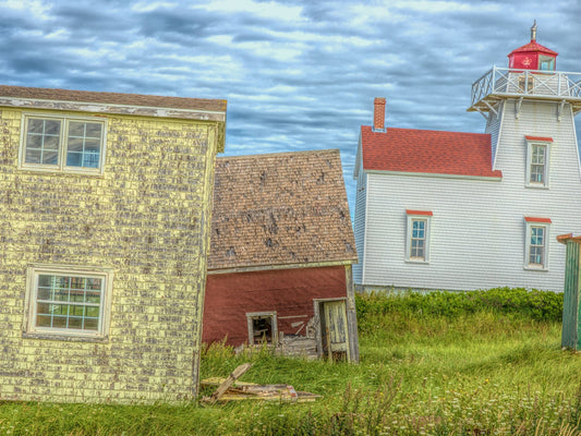 Sentinel Among the Weathered Fields - Byeutifull Art